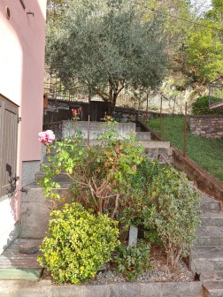Garten rechts vom Haus